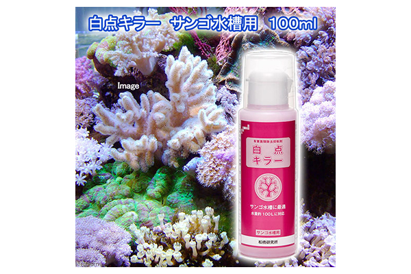 白点キラー珊瑚専用水槽用